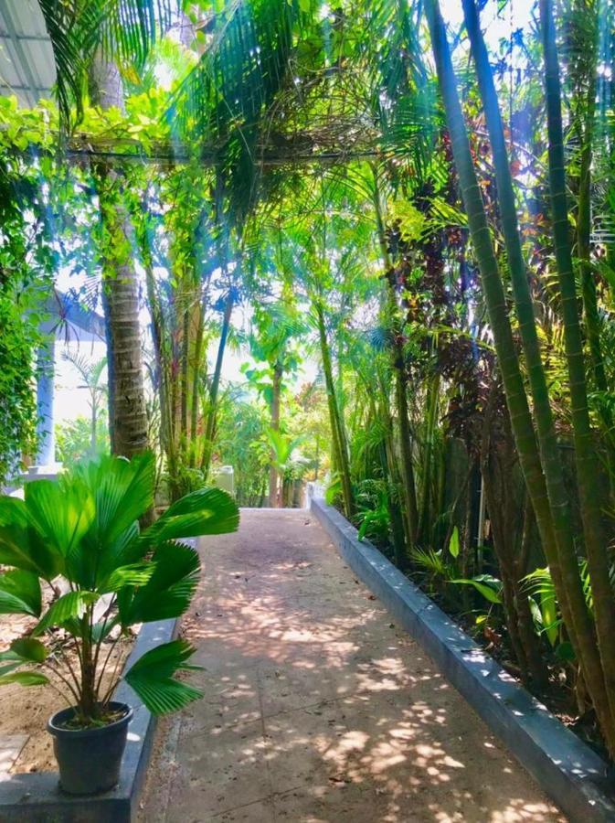 Petit Ana Beach Retreat Варкала Экстерьер фото